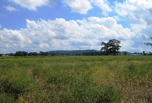 Springfield Township, Burlington County, New Jersey